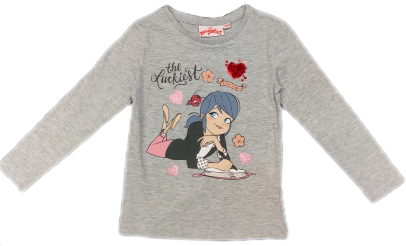 Ladybug Langarmshirt für Mädchen in grau "Luckiest"